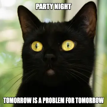 Meme effect on a cat — online photo booth