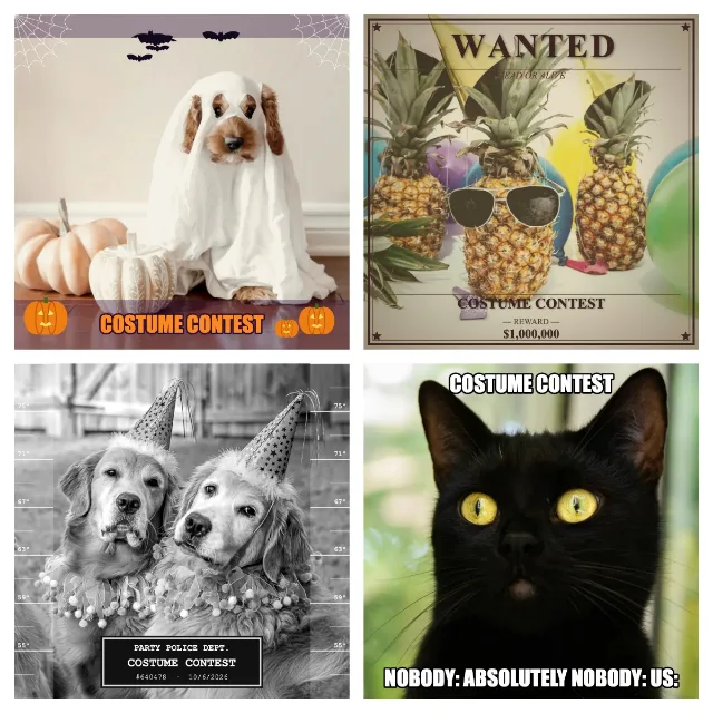 2×2 costume-contest collage on pet and pineapple photos with the Halloween, Wanted, Mugshot and Meme effects