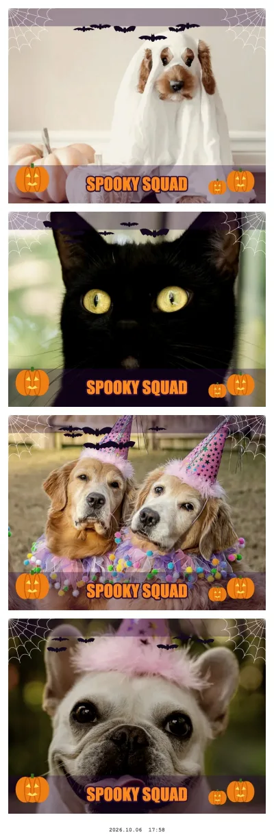 Halloween photo booth strip: a dog in a ghost costume, a black cat and three dogs with bats, cobwebs and jack-o’-lanterns