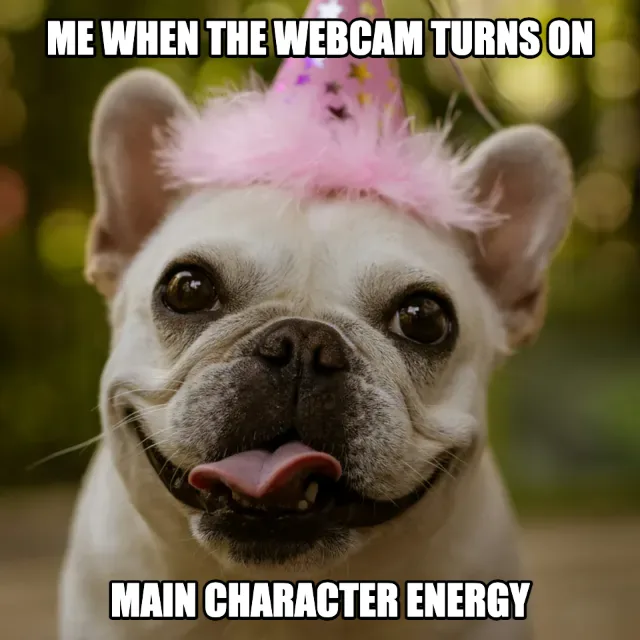 Dog photo with the Meme webcam effect and the top line “Me when the webcam turns on”